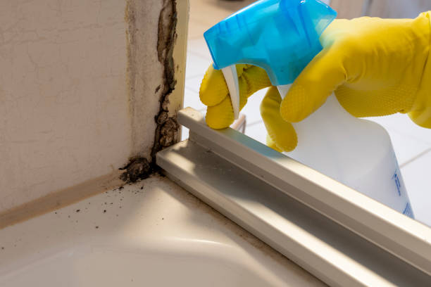 Best Mold Testing and Inspection Services in Centerville, GA
