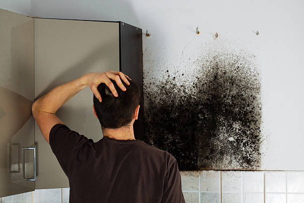Best Kitchen Mold Remediation in Centerville, GA